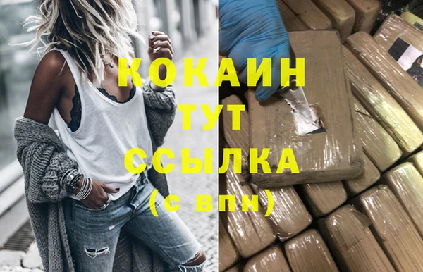 гидра Аркадак