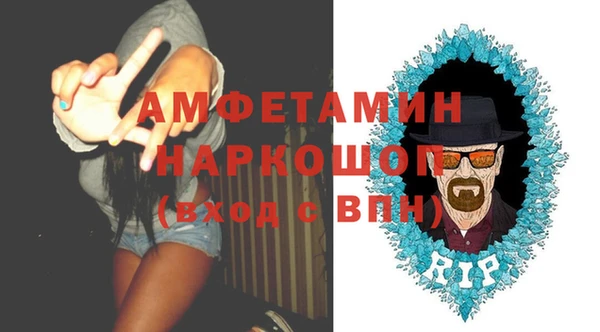 гидра Аркадак
