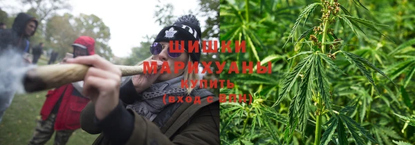 гидра Аркадак
