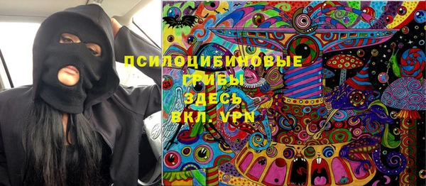 ГАЛЛЮЦИНОГЕННЫЕ ГРИБЫ Армянск