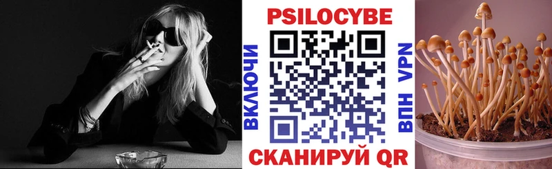 Галлюциногенные грибы Cubensis что такое наркотик Железногорск-Илимский